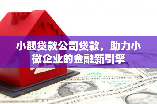 高埗小额贷款公司贷款，助力小微企业的金融新引擎