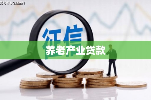 高埗养老产业贷款