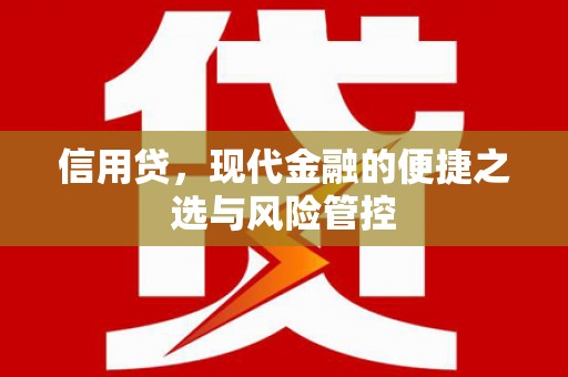 高埗信用贷，现代金融的便捷之选与风险管控