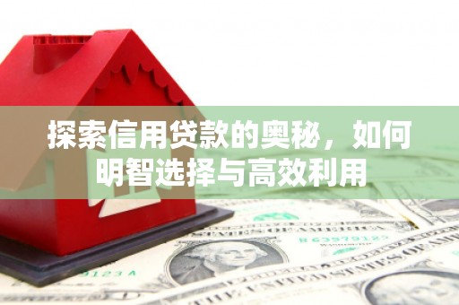 高埗探索信用贷款的奥秘，如何明智选择与高效利用
