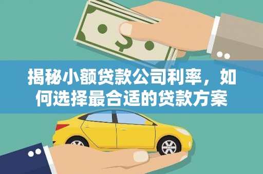 高埗揭秘小额贷款公司利率，如何选择最合适的贷款方案