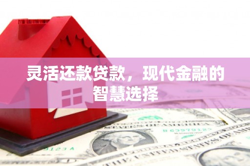 高埗灵活还款贷款，现代金融的智慧选择