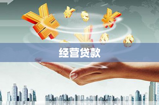 高埗经营贷款