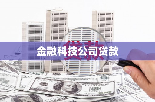 高埗金融科技公司贷款