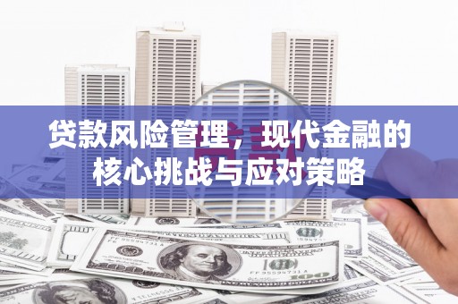高埗贷款风险管理，现代金融的核心挑战与应对策略
