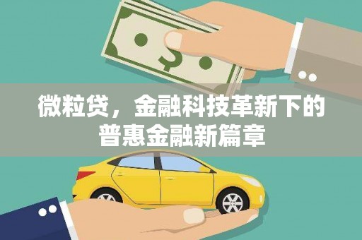 高埗微粒贷，金融科技革新下的普惠金融新篇章