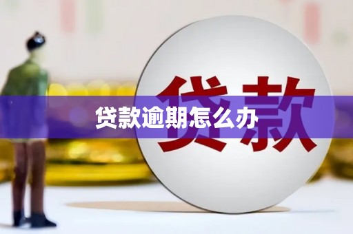 高埗贷款逾期怎么办