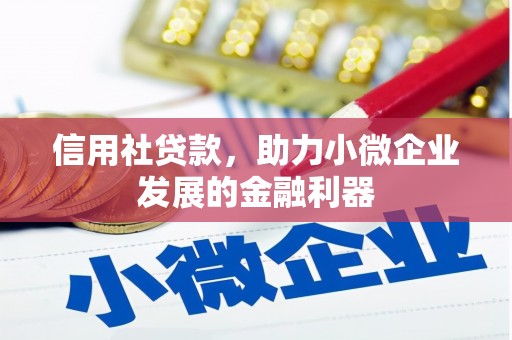 高埗信用社贷款，助力小微企业发展的金融利器