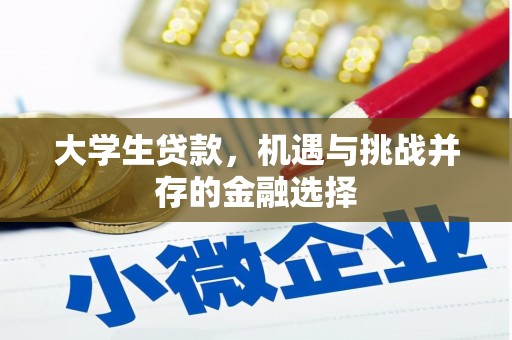 高埗大学生贷款，机遇与挑战并存的金融选择