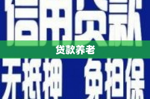高埗贷款养老