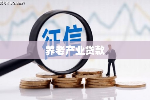 高埗养老产业贷款