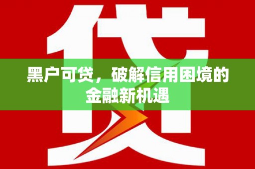高埗黑户可贷，破解信用困境的金融新机遇
