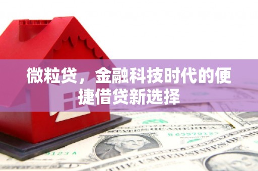 高埗微粒贷，金融科技时代的便捷借贷新选择