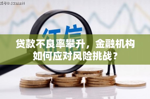 高埗贷款不良率攀升，金融机构如何应对风险挑战？