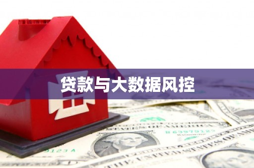高埗贷款与大数据风控