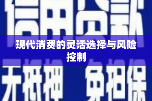 高埗现代消费的灵活选择与风险控制