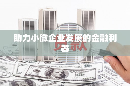 高埗助力小微企业发展的金融利器
