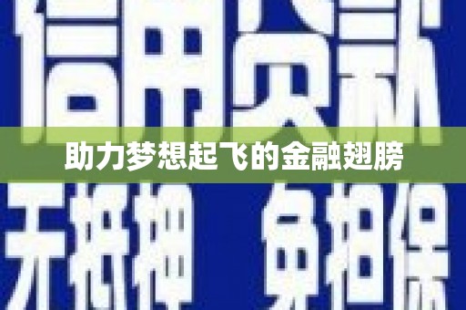 高埗助力梦想起飞的金融翅膀