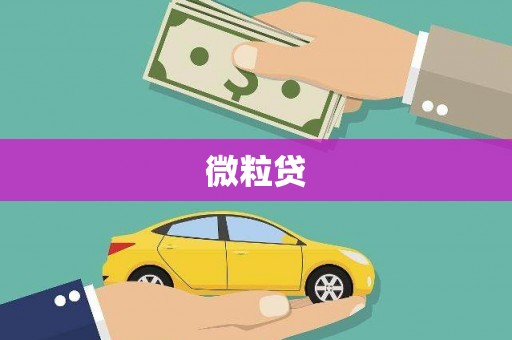 高埗微粒贷