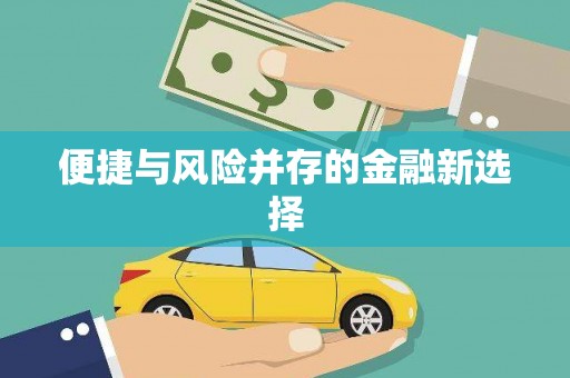 高埗便捷与风险并存的金融新选择