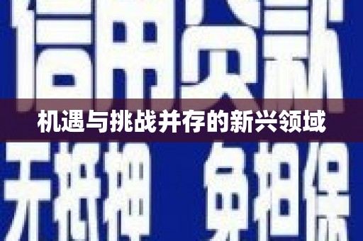 高埗机遇与挑战并存的新兴领域
