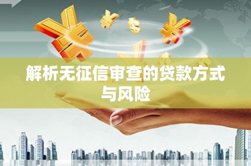 高埗解析无征信审查的贷款方式与风险
