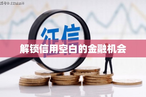 高埗解锁信用空白的金融机会
