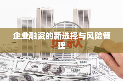 高埗企业融资的新选择与风险管理