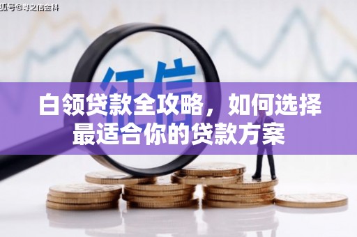高埗白领贷款全攻略，如何选择最适合你的贷款方案